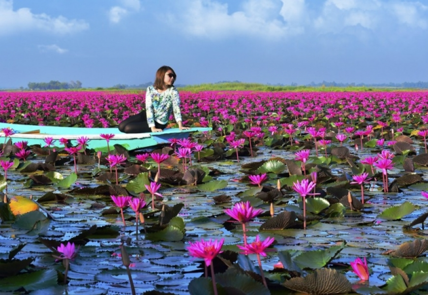 RED LOTUS SEA (TALAY BUA DAENG)